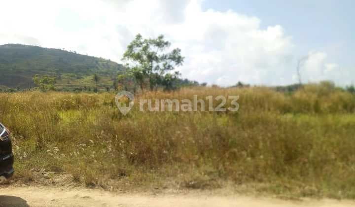 Tanah 20 Hektar Bojonegara