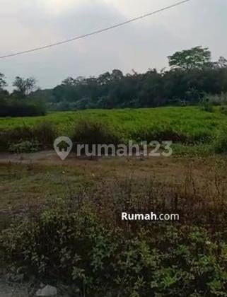 Land near Citra Raya, Tangerang