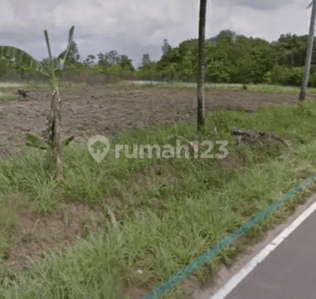 Tanah di jalan nasional kec Badau belitung