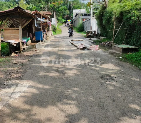 tanah kebun manggis tanah kebun manggis