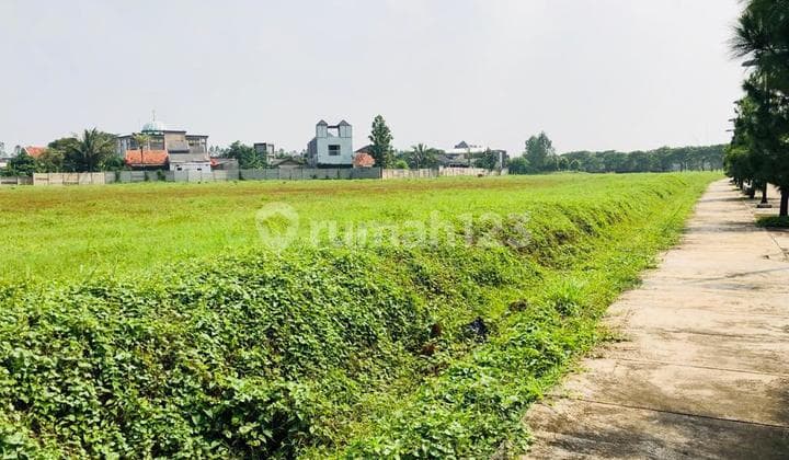 Kavling Komersial Ice Berseberangan Denganhotel Santika Cbd Bsd City,