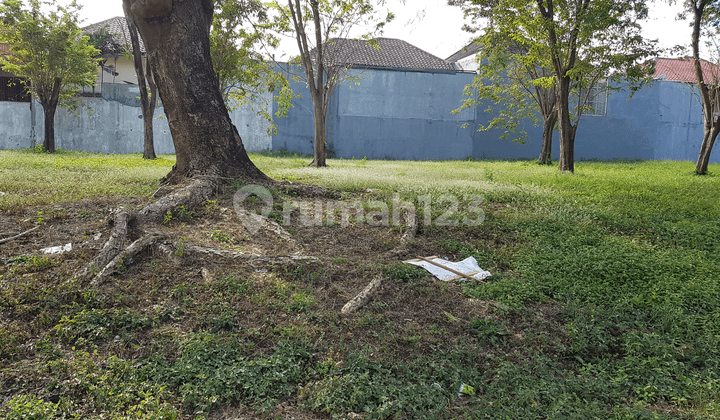 Cocok utk cafe, resto, galeri, butik