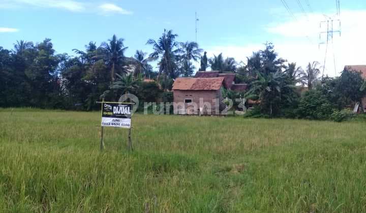 Tanah Sawah Purwakarta