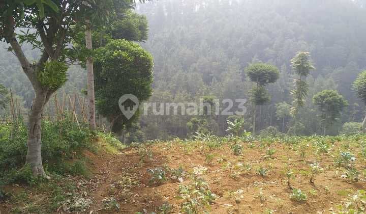 Tanah Siap Bangun Dago Ciburial
