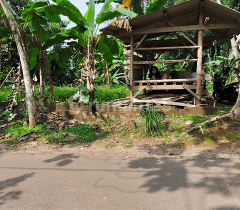 Tanah Lokasi Bagus Cigombong Bogor Jawa Barat