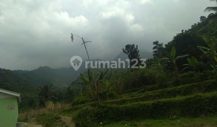Tanah dijual