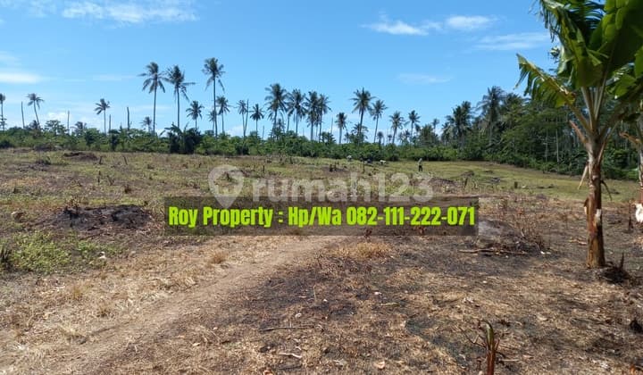 Termurah Dijual Tanah di Seokarno Hatta Kalianda Lampung Selatan