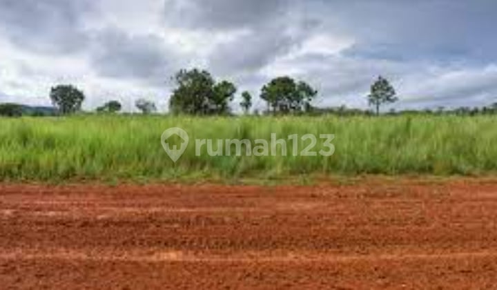 kavling royal residence jalan utamav kavling royal residence jalan utamav