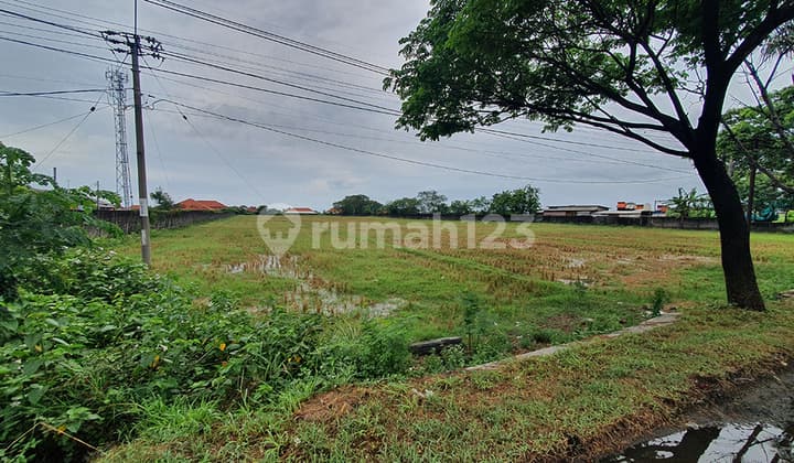 Tanah Murah 1 Juta / m2 Area Pangenan Cirebon