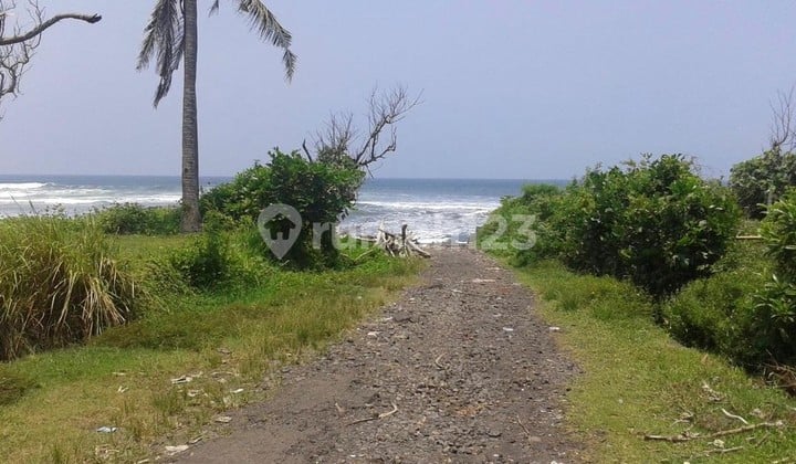 LAND LOS BERABAN BEACH AND RIVER IN TABANAN