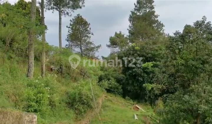 Jual Tanah Dago Giri Murah View Bukit Lembah Cocok Villa Pribadi