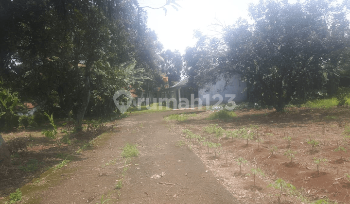 tanah sertifikat dalam satu lokasi dipinggir jalan raya Parung bogir