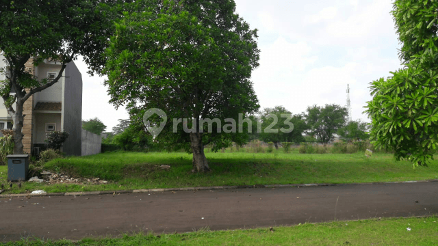 beautiful lot beautiful lot