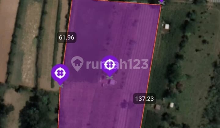 Tanah Ngantong 79 Are Plaga