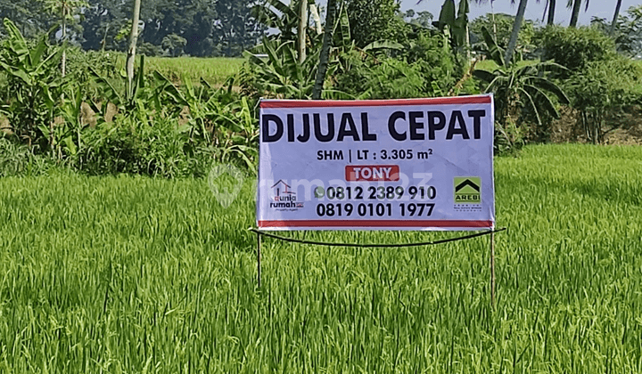 MURAH! CEPAT! NEGO SAMPAI JADI! Tanah Sawah 3rb Meter Lokasi Strategis Warungkondang - Cianjur