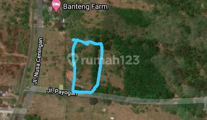Tanah murah Jembrana Bali dalma kota