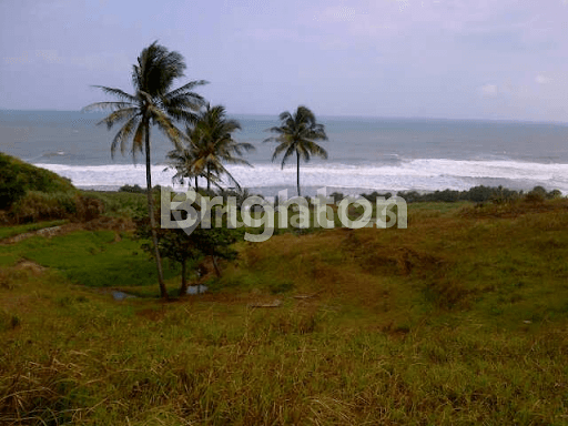 Tanah Pinggir Pantai