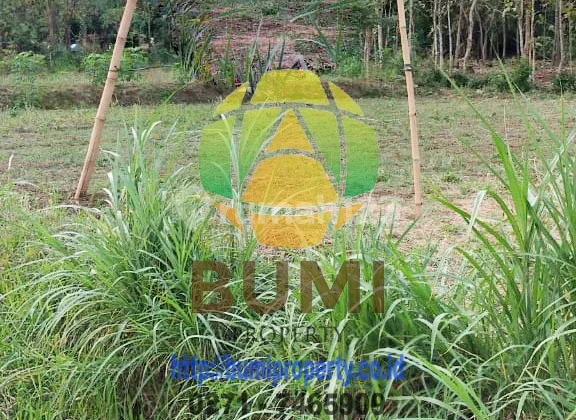 Ready-to-build land located in Nogosari, Boyolali. Ready-to-build land located in Nogosari, Boyolali.