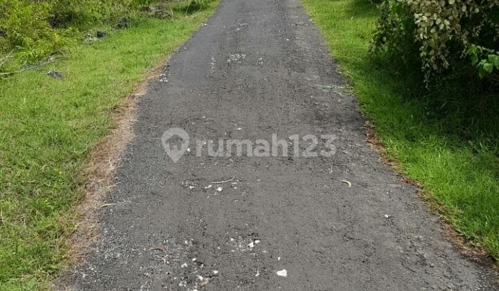 Project 4 Pejukutan Ocean View dan Ubud Bali