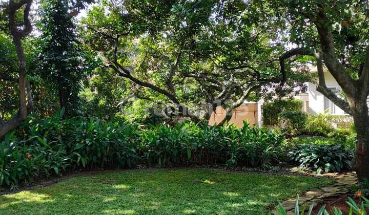 Lokasi tanah yang strategis dengan ketenangan dan kenyamanan yang hijau