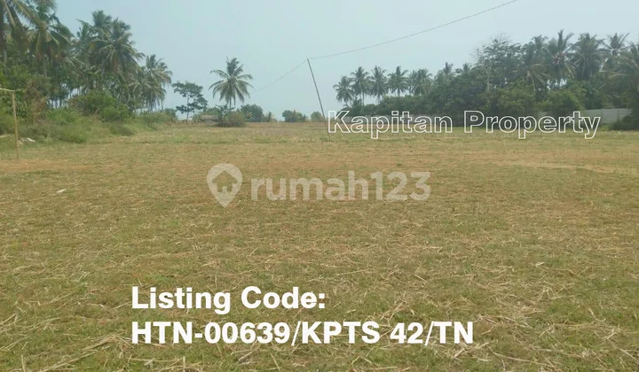 Tanah Komersil di Jl. Raya Panimbang, Pandeglang Tanah Komersil di Jl. Raya Panimbang, Pandeglang