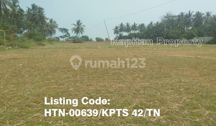 Tanah Komersil di Jl. Raya Panimbang, Pandeglang