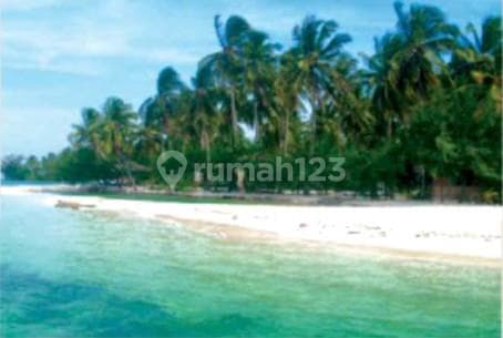 Tanah 44,5 HA di Pulau Karimunjawa, SHM, Area Wisata