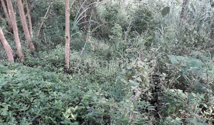 Jual Sangat Murah Tanah Kavling Dago Umaia , Dago Atas Bandung . SHM.