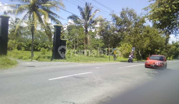 Dijual Tanah Hook dan Strategis di Pakem Turi Km.2 Jogja Utara