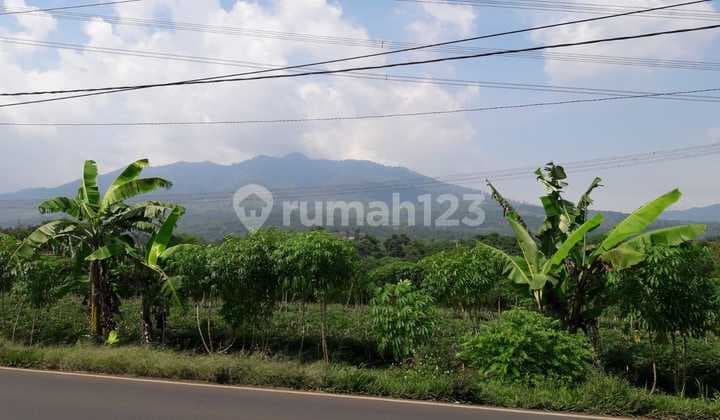 TANAH SHM STRATEGIS TEPI JALAN PROVINSI RANCAEKEK PARAKAN MUNCANG TANJUNGSARI