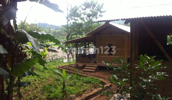 Tanah Perkebunan untuk Jamur dekat Tol Gadog dan Vimala Hill