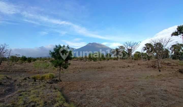 Land Investment Ut Villa 200m2. Only Rp 12 Million per year.
