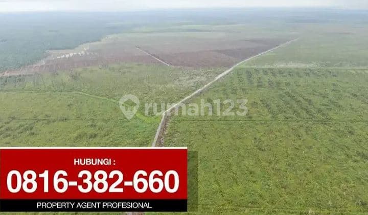 Lahan perkebunan 390 Ha + 600 Ha dekat Tanjung Lubuk OKI Sumsel
