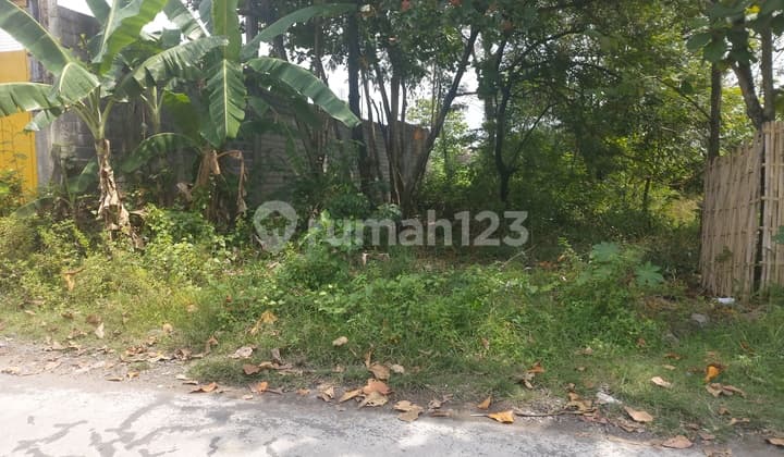 Tanah kering dekat jalan jayawijaya mojosongo solo