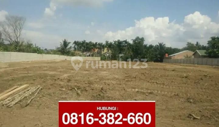 Tanah Keras 3 Ha di Tlg betutu Jl Rimbo Mulyo diblkg SMPN 49