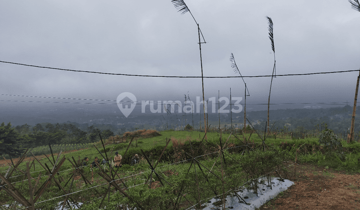 tanah dicijeruk sangat the best view