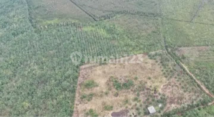 Cari lahan 20.000 Ha utk Perkebunan di Sumatera Selatan dalam 1 blok.