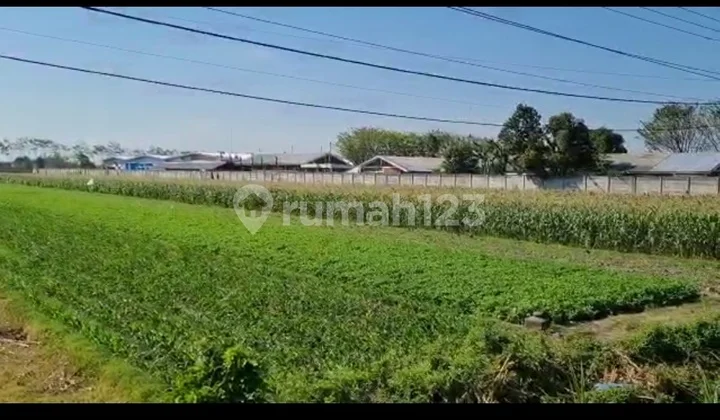 Lahan Plot Pergudangan dan Industri Raya Nasional Lahan Plot Pergudangan dan Industri Raya Nasional