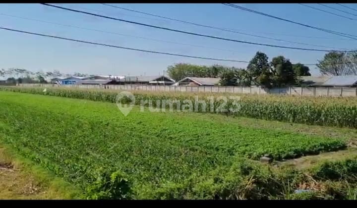 Lahan Plot Pergudangan dan Industri Raya Nasional