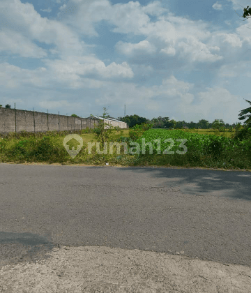 Tanah Murah, Cocok buat Perumahan