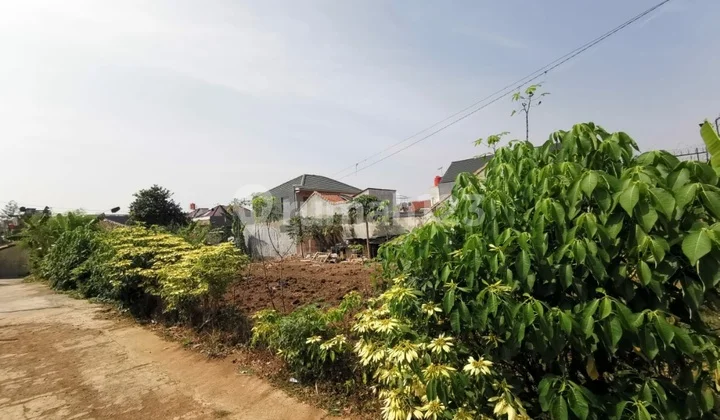 Kavling Murah di belakan setraduta Kavling Murah di belakan setraduta