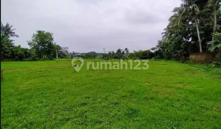 Tanah Luas Murah Dekat Dramaga, Ipb, Cifor, Tol Lingkar Bogor