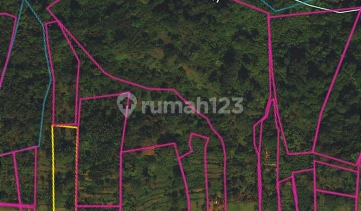 Murah tanah los sungai di Buahan - Payangan - Ubud, Bali