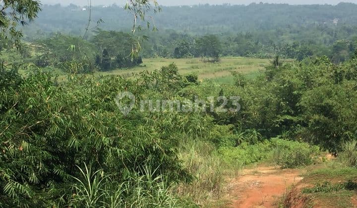 Land in Gunung Sindur, Bogor