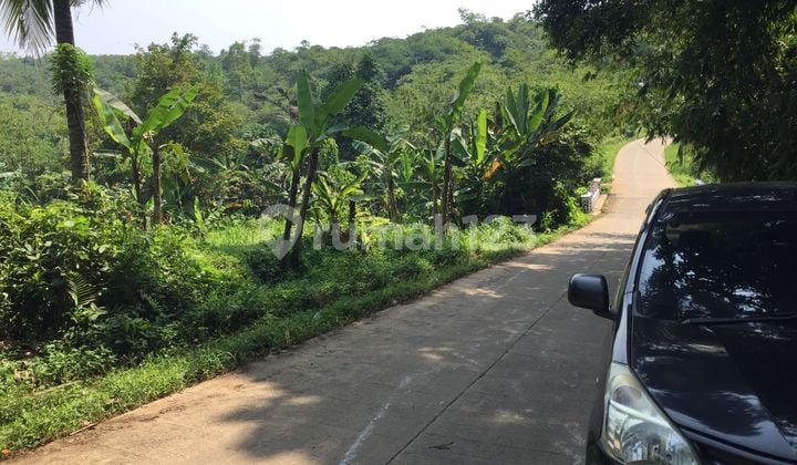 Land in Jampang Village, Gunung Sindur - Bogor
