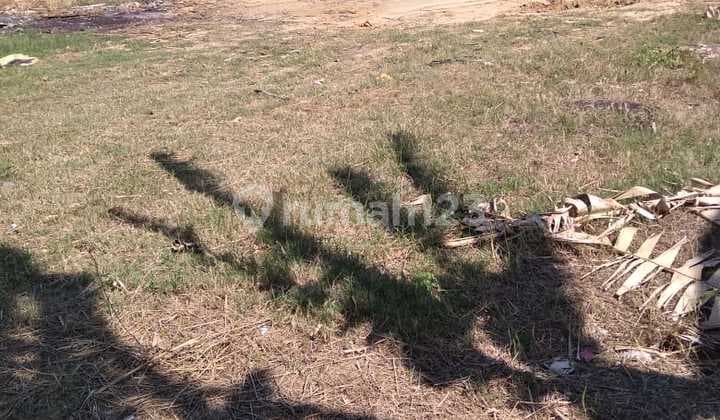 Tanah Tambak Boyo Tuban