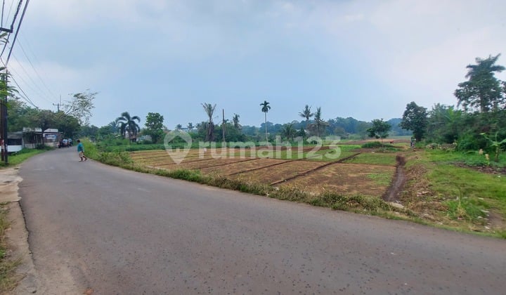 Tanah Parung Murah Akses Mobil Cocok Usaha,Gudang,Perumahan Dll