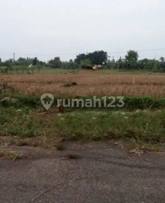 Tanah Industri Murah Strategis Cipendey Subang dekat tol Sadang Cipali