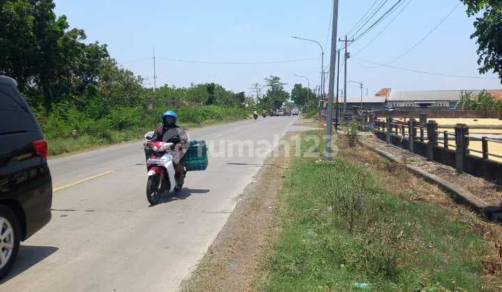 Tanah di Jalan Raya Mijen - Welahan, Demak