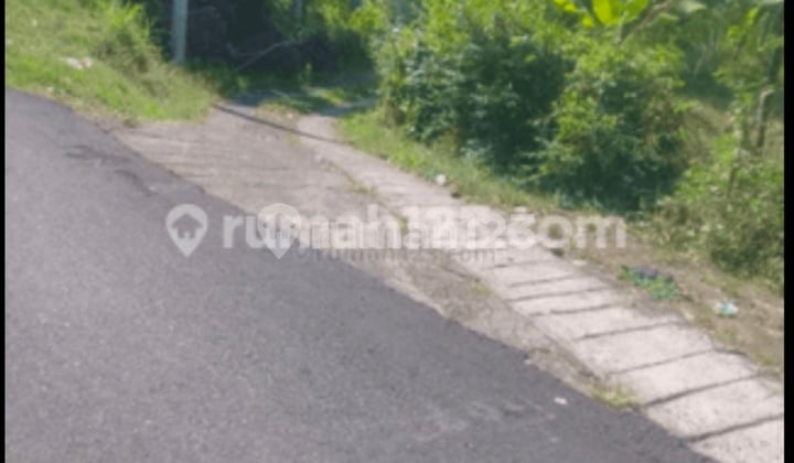 Tanah Bagus Murah Pantai Lovina Bali